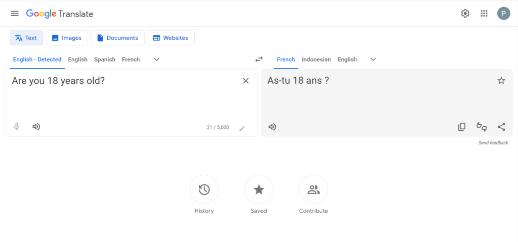 Google translate: Easy translations methods for Landing pages