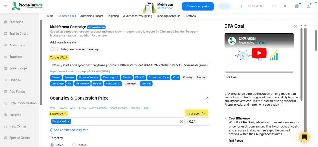 Propeller Ads campaign - Target URL 