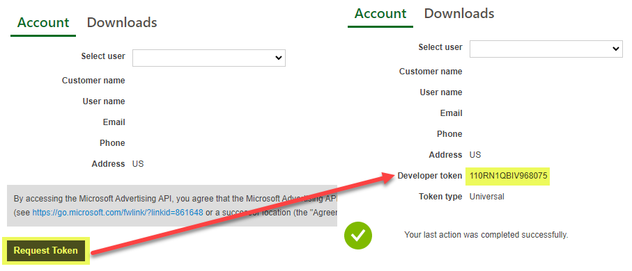 Microsoft Bing Ads API integration developer token